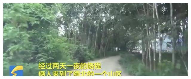 湖北赵先生两年缅北行，掏十万酬金才回家，亲口告诫了我们这三点