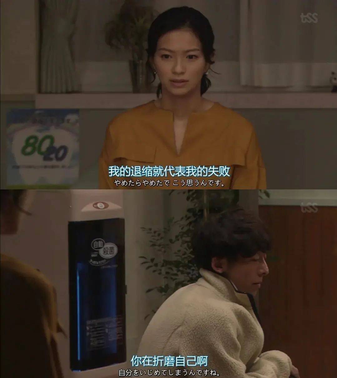 一只猫的「掌控感」