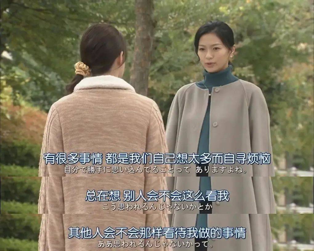 一只猫的「掌控感」