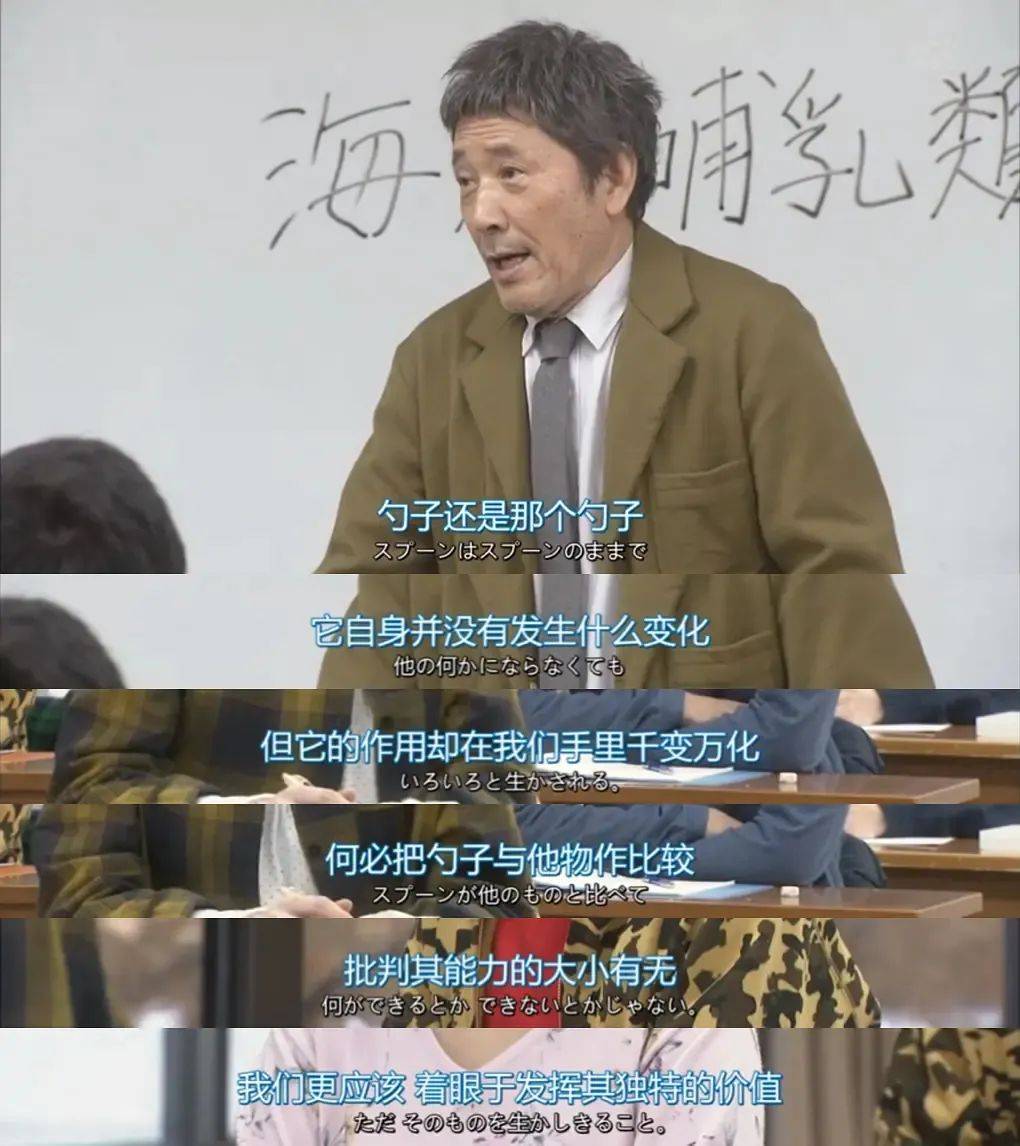 一只猫的「掌控感」