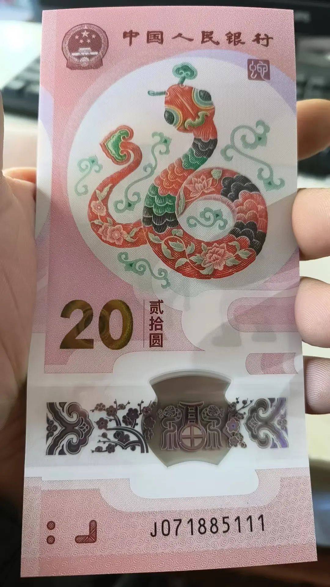 蛇钞蛇币暴跌，龙钞走低，未来行情还有机会吗？