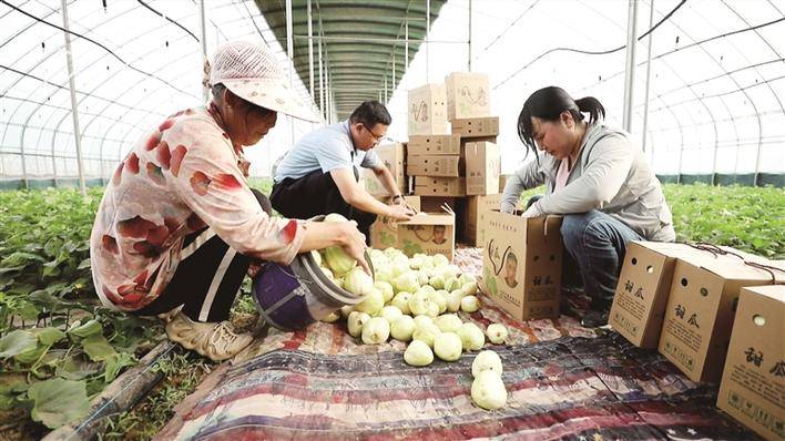 兴县：农文旅融合绘就振兴共富新画卷