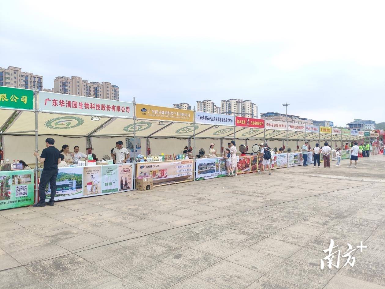 “免费梅州”政策赋能，平远企业“乘势出圈”