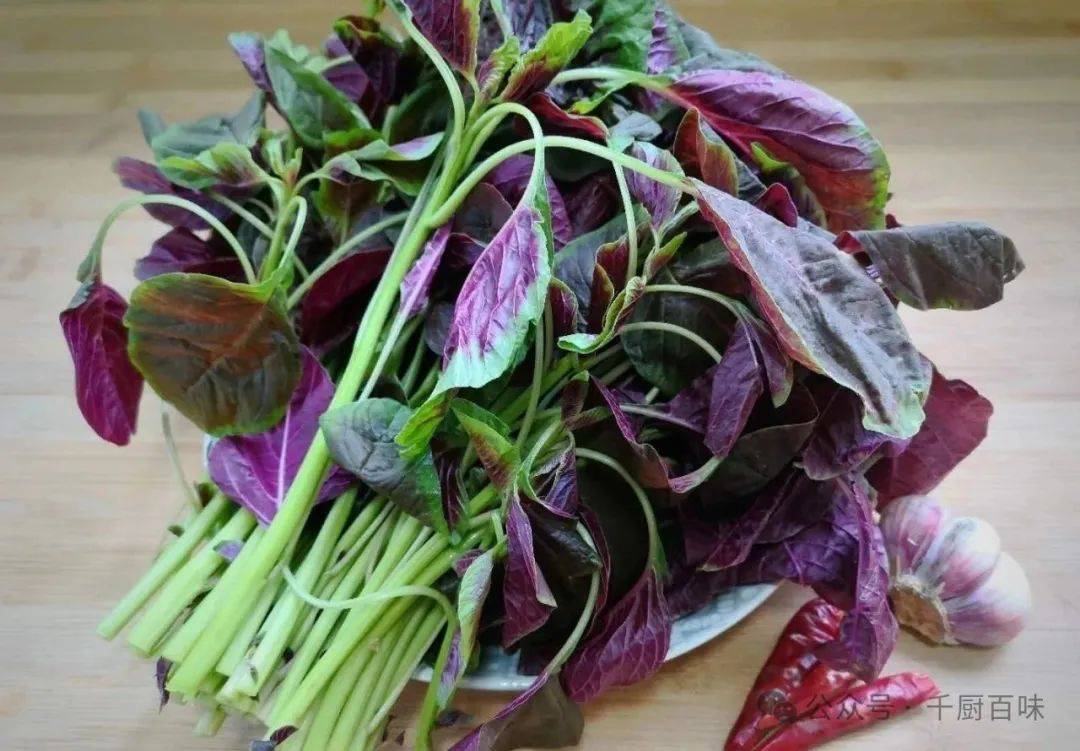 阅湾在线-广谈大湾网-珠海美食群-深圳美食群-广州美食-炒红苋菜