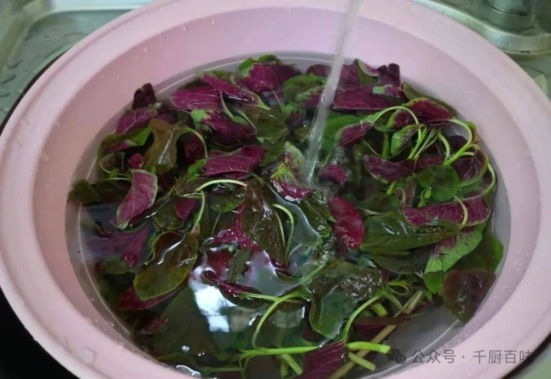阅湾在线-广谈大湾网-珠海美食群-深圳美食群-广州美食-炒红苋菜