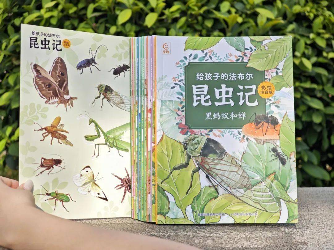 二宝开始有小秘密了