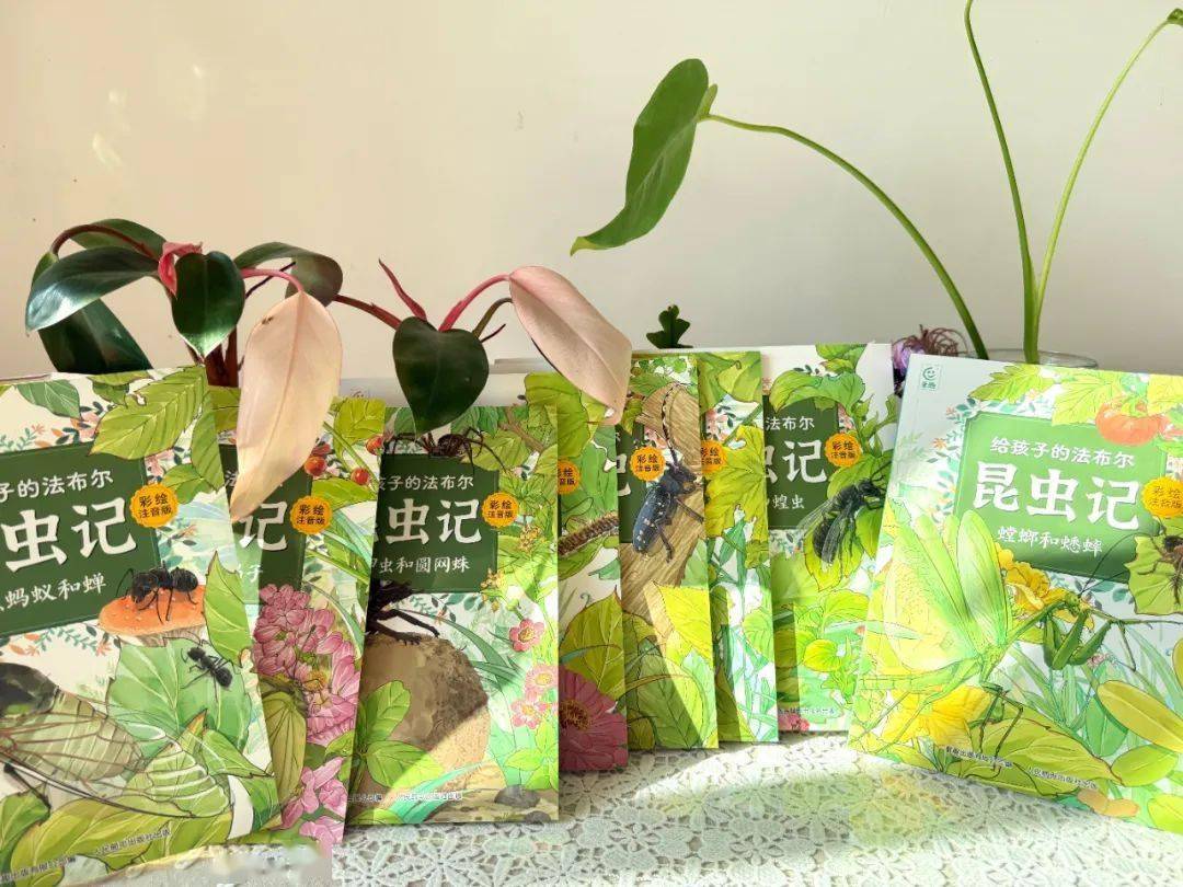 二宝开始有小秘密了
