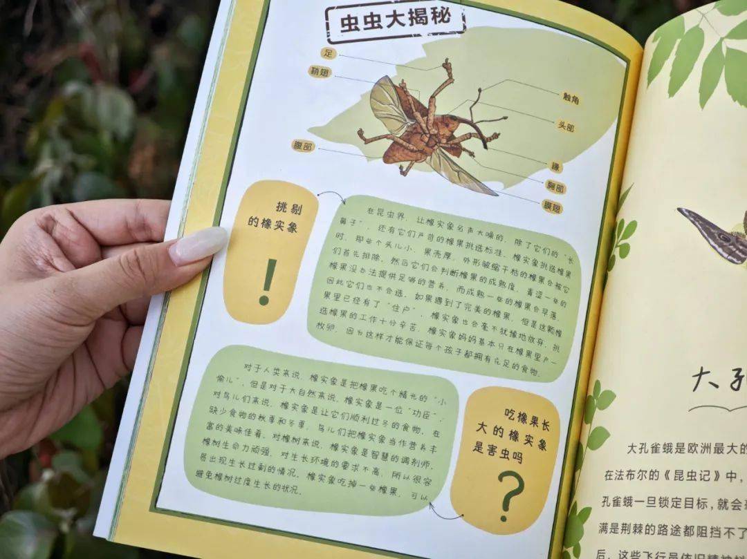 二宝开始有小秘密了