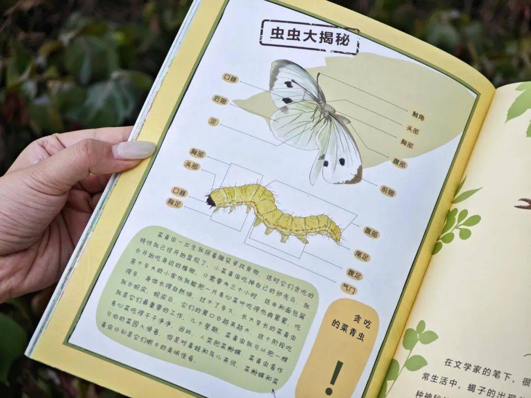 二宝开始有小秘密了