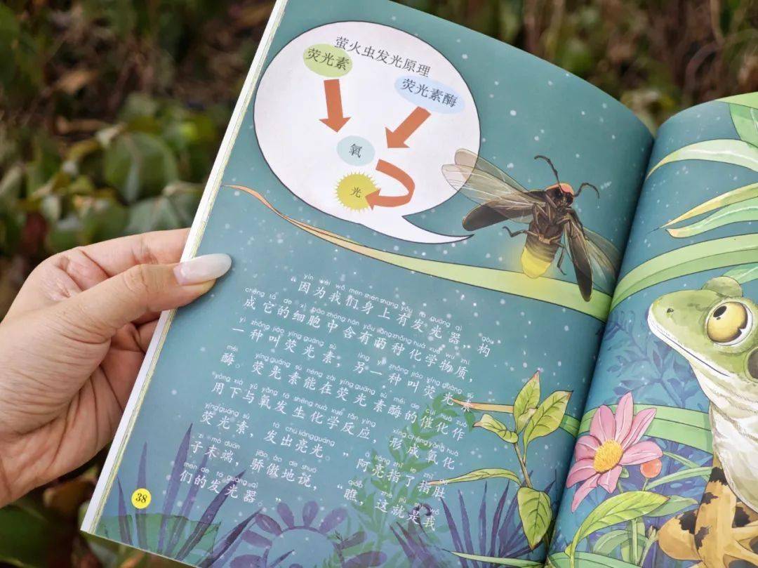 二宝开始有小秘密了