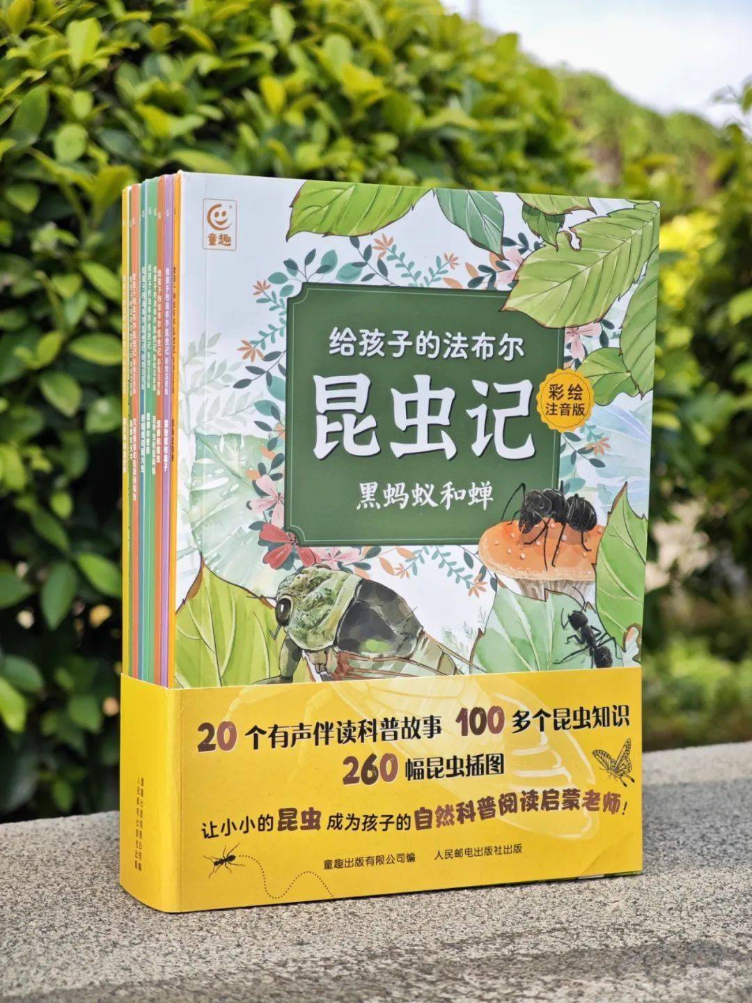二宝开始有小秘密了