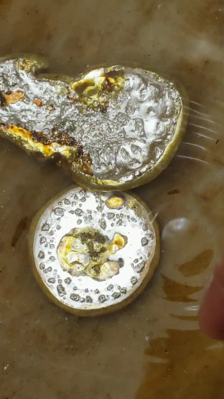 提取贵金属(贵金属的提取)