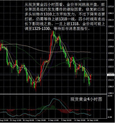贵金属操作建议(贵金属操作建议怎么写)