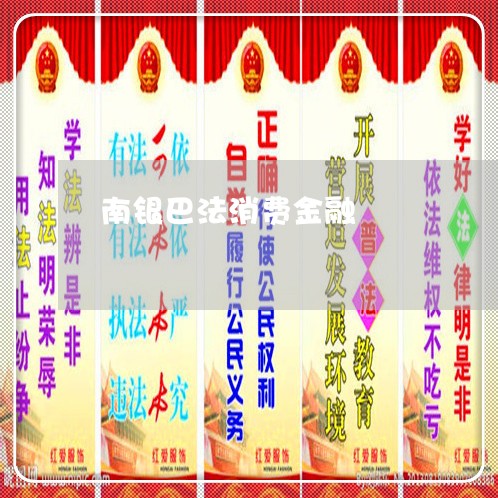 贵金属南银(贵金属银子的行情)
