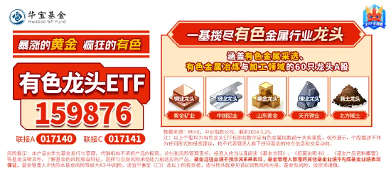 贵金属定投(贵金属定投的特点)