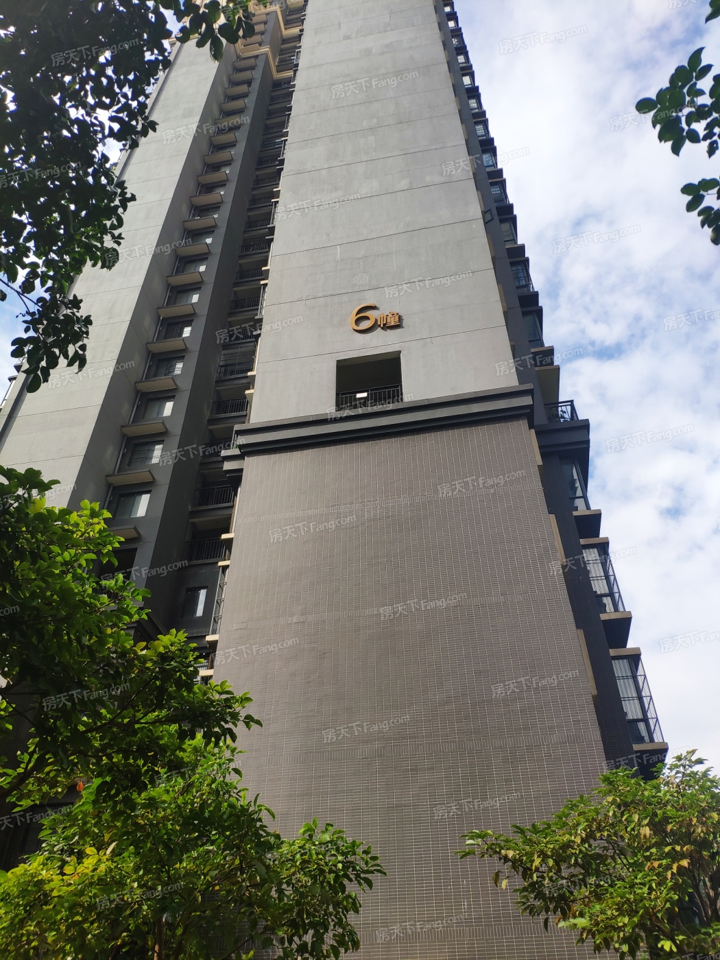 天誉贵金属(天誉国际金融集团)