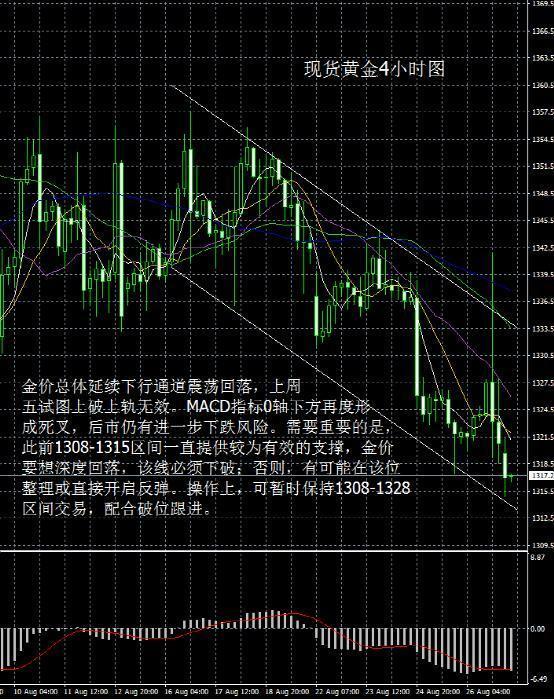 环球贵金属(环球贵金属官网)