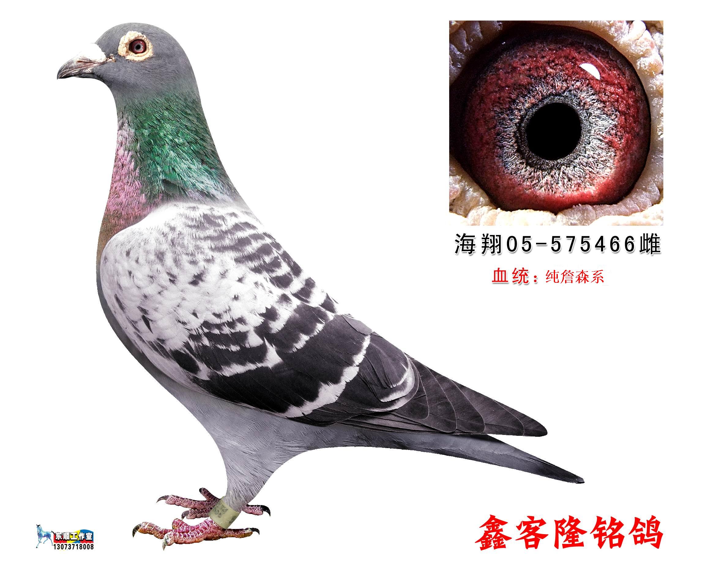 鼎金贵金属(鼎金实业有限公司)